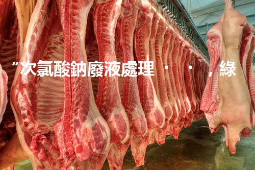 “次氯酸鈉廢液處理，綠色環(huán)保新篇章！”